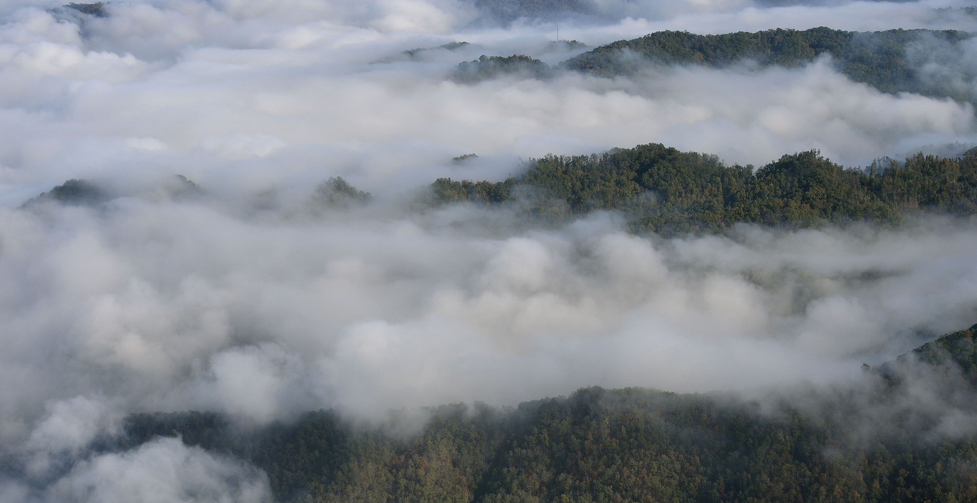 Morning Mists